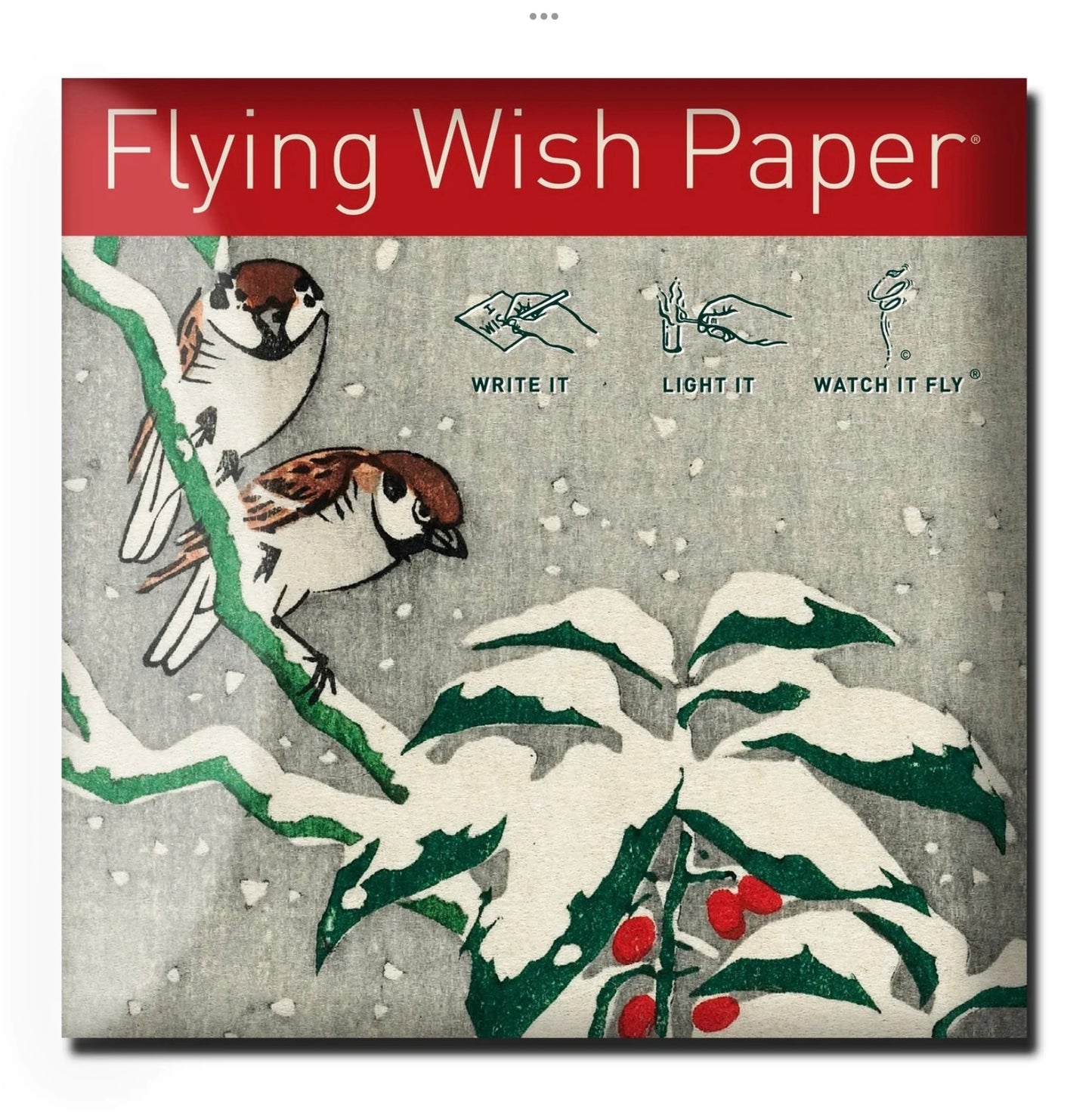 Snowbirds Wish Paper - Mini