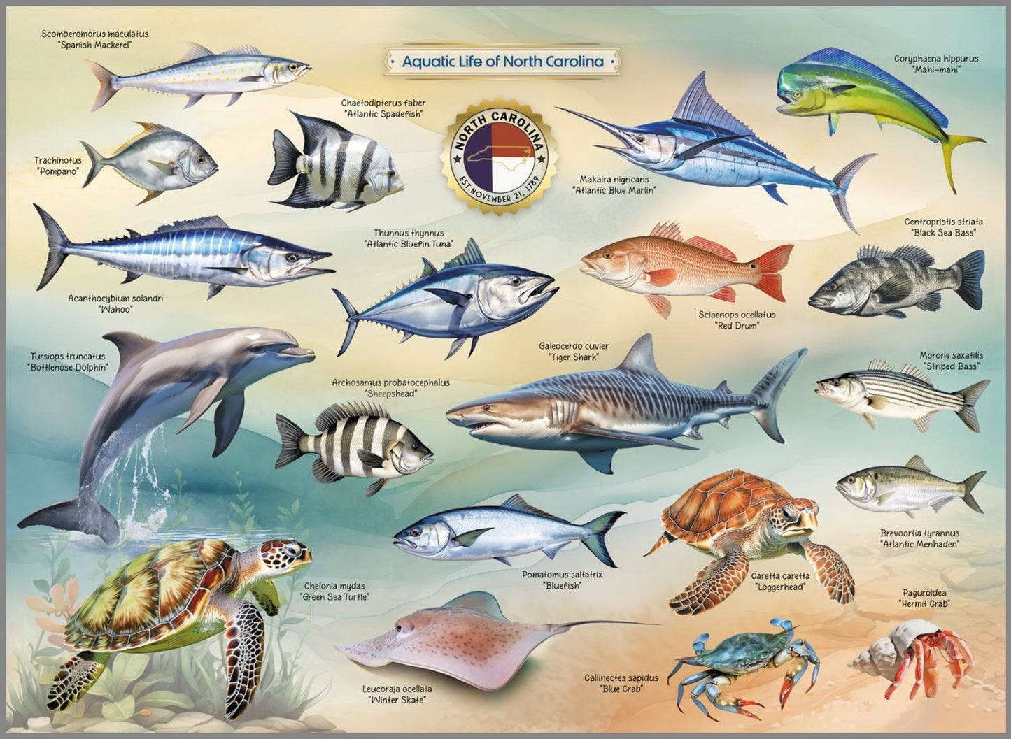 Aquatic Life of North Carolina Jigsaw Puzzle