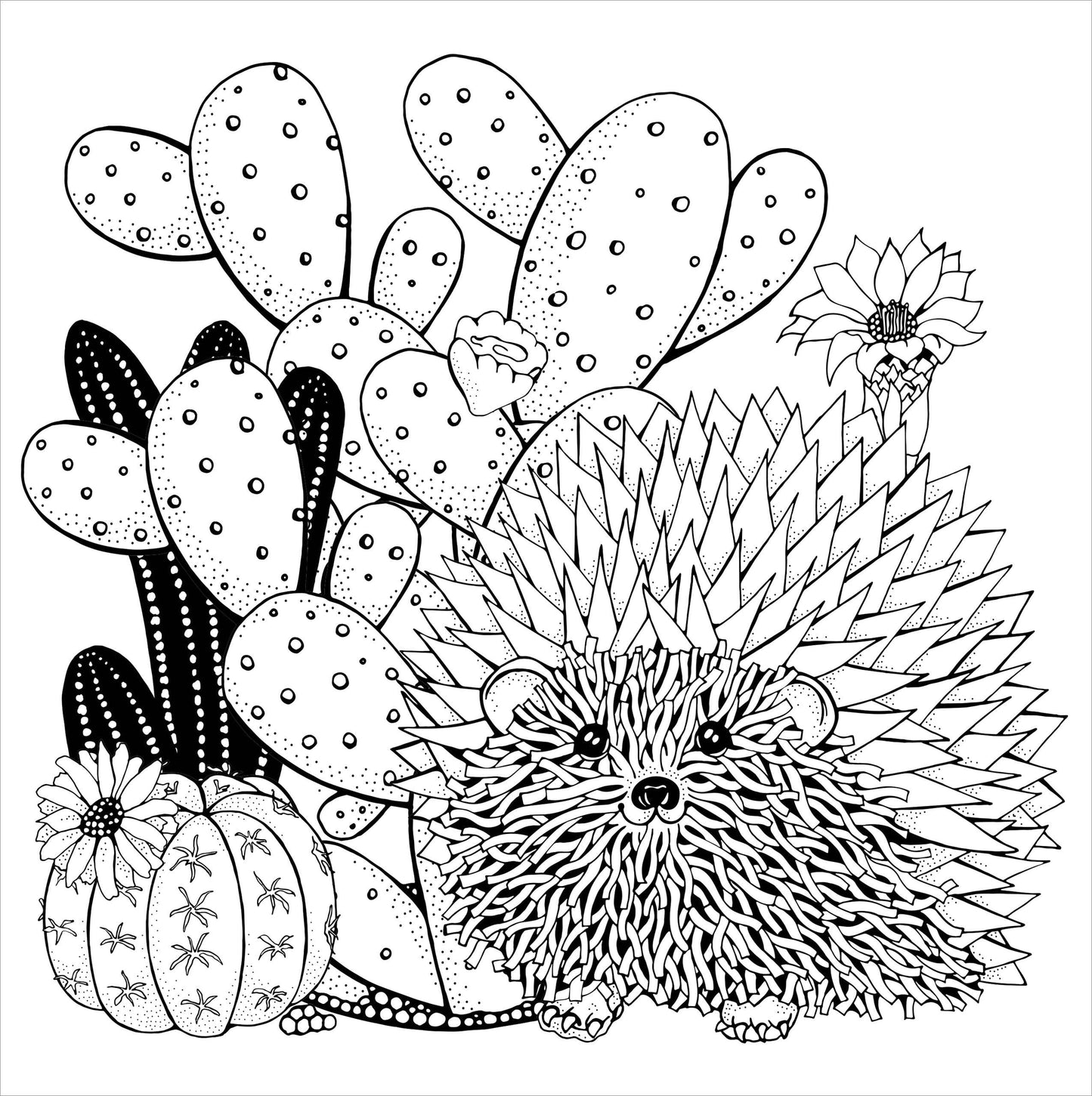 Succulents Adult Coloring Book