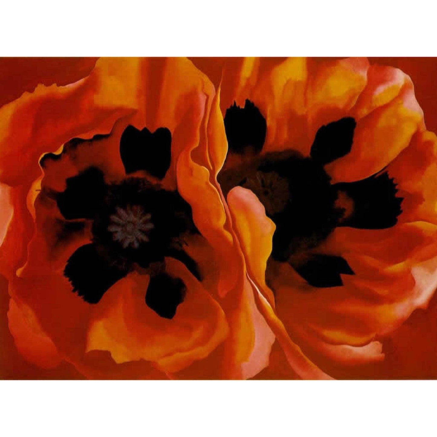 Poppies Stone