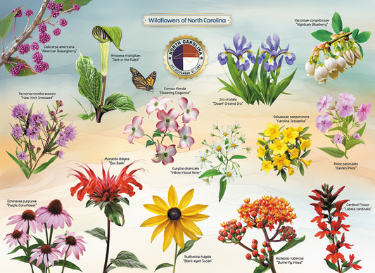 Wildflower puzzle