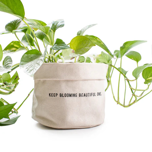 Keep Blooming Planter - large