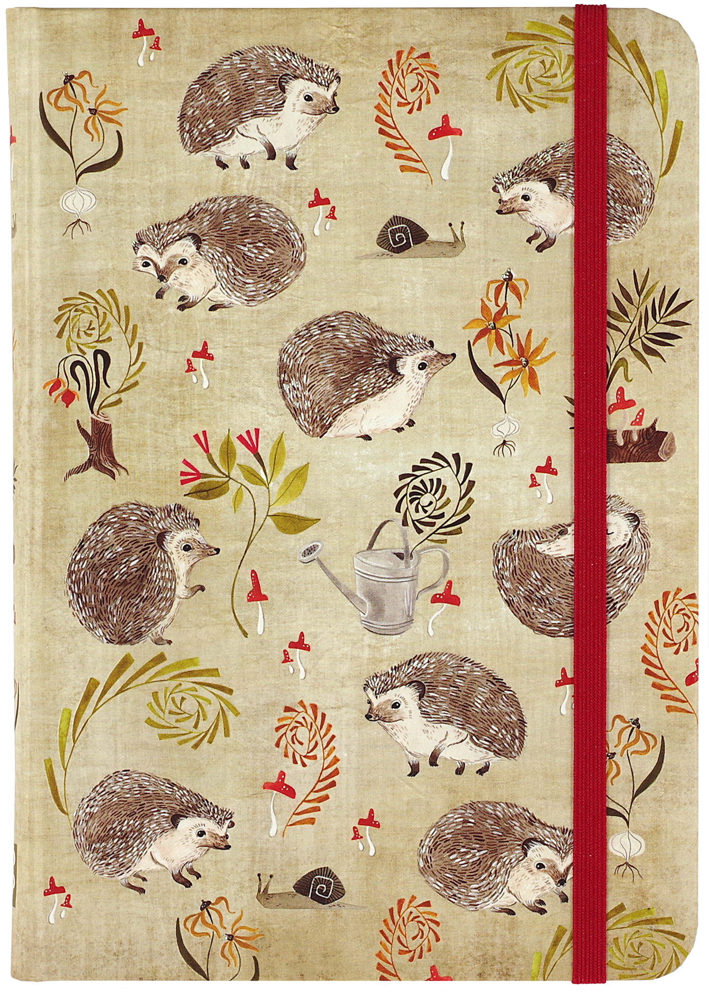 Hedgehogs Journal