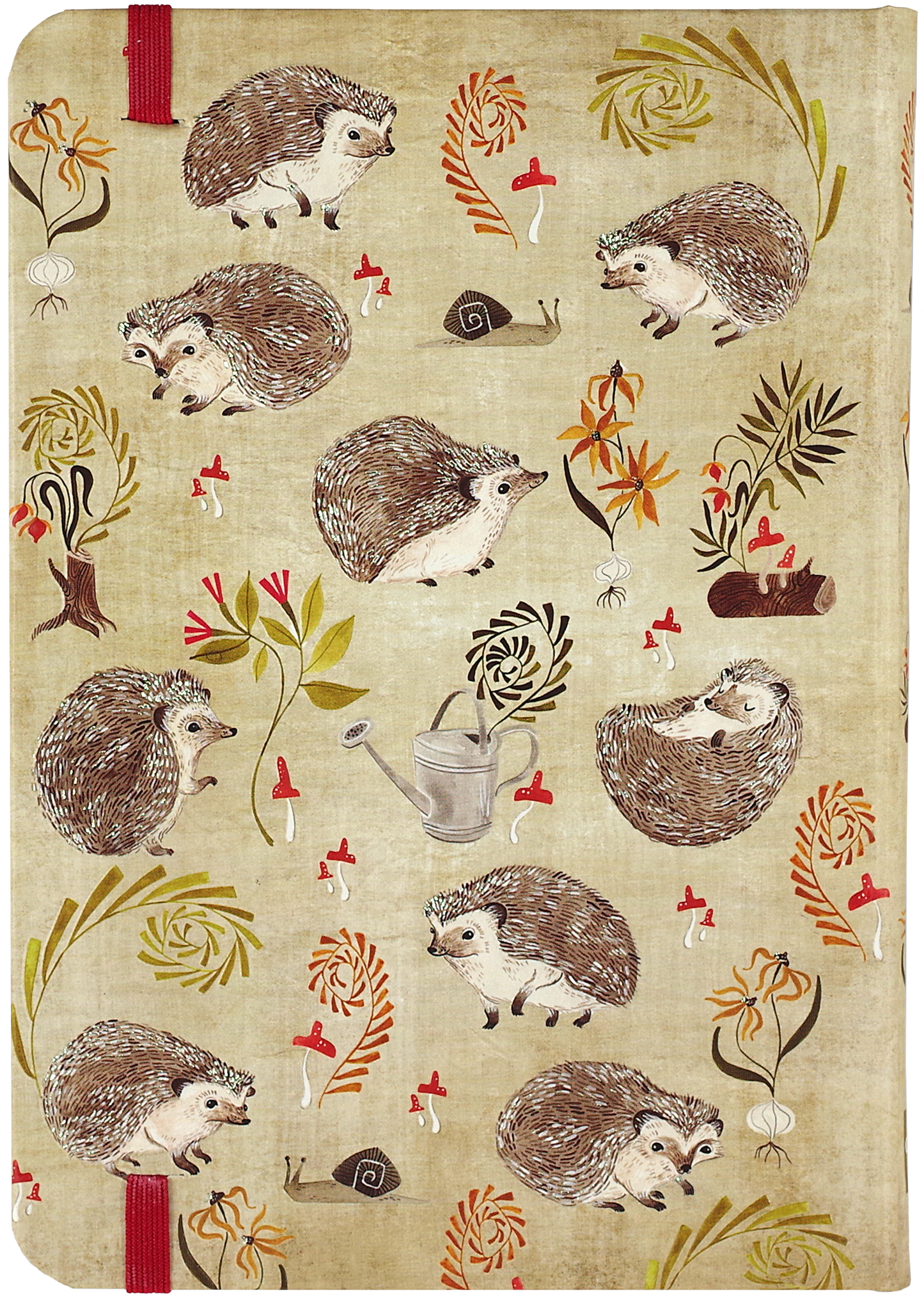 Hedgehogs Journal